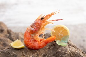 Läs mer om artikeln Aliquet et iaculis et viverra vitae ligula